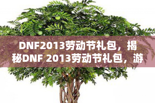 DNF2013劳动节礼包，揭秘DNF 2013劳动节礼包，游戏内外的惊喜福利！