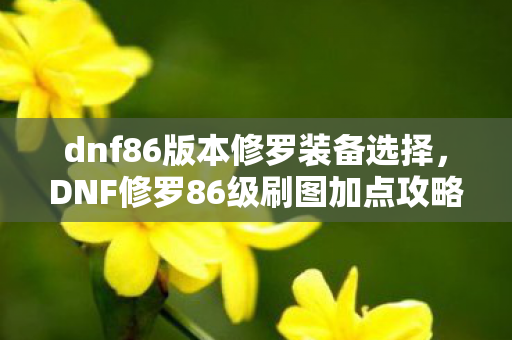 dnf86版本修罗装备选择，DNF修罗86级刷图加点攻略