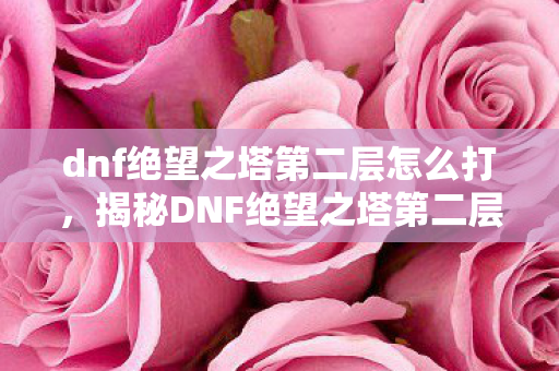 dnf绝望之塔第二层怎么打，揭秘DNF绝望之塔第二层，挑战与机遇并存的无尽试炼