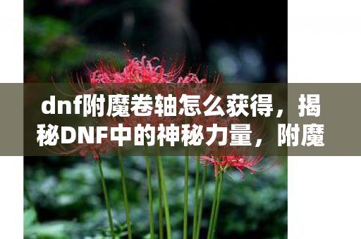 dnf附魔卷轴怎么获得，揭秘DNF中的神秘力量，附魔卷轴的奥秘与应用