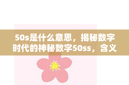 50s是什么意思，揭秘数字时代的神秘数字50ss，含义、应用与背后的故事
