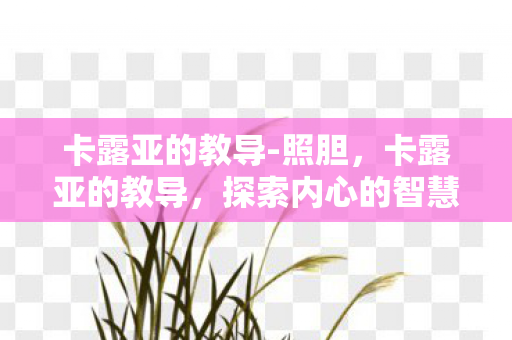 卡露亚的教导-照胆，卡露亚的教导，探索内心的智慧之源