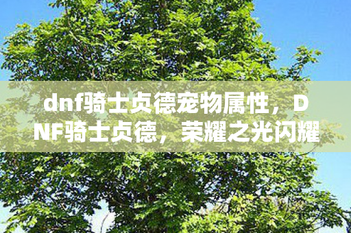 dnf骑士贞德宠物属性，DNF骑士贞德，荣耀之光闪耀战场