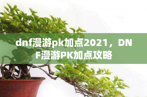 dnf漫游pk加点2021，DNF漫游PK加点攻略