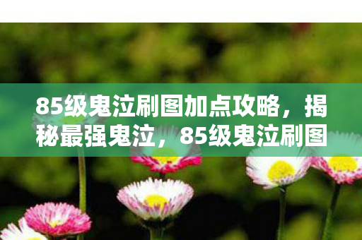 85级鬼泣刷图加点攻略，揭秘最强鬼泣，85级鬼泣刷图加点攻略