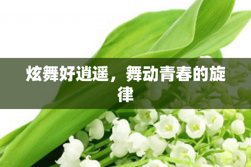 炫舞好逍遥，舞动青春的旋律