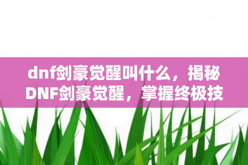 dnf剑豪觉醒叫什么，揭秘DNF剑豪觉醒，掌握终极技能的荣耀时刻