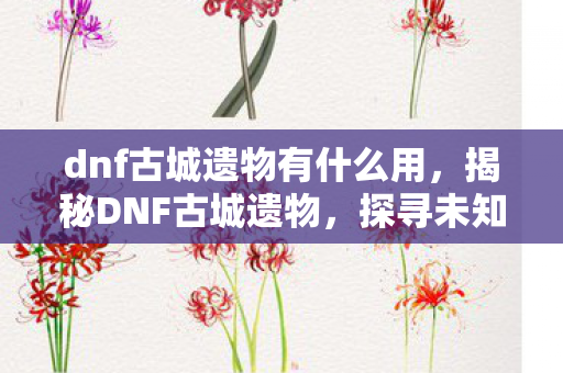 dnf古城遗物有什么用，揭秘DNF古城遗物，探寻未知的神秘宝藏
