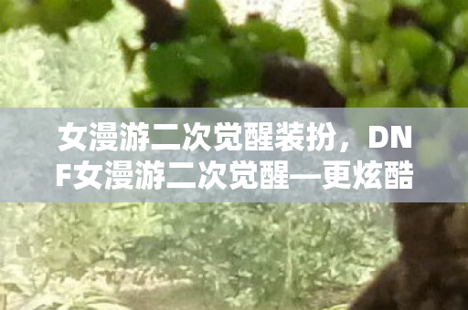 女漫游二次觉醒装扮，DNF女漫游二次觉醒—更炫酷的冒险之旅
