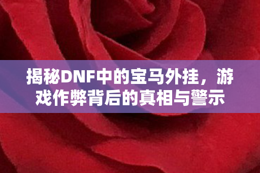 揭秘DNF中的宝马外挂，游戏作弊背后的真相与警示