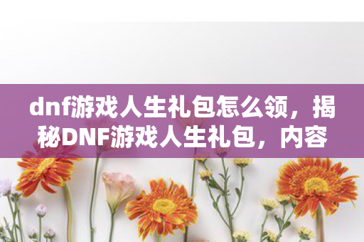 dnf游戏人生礼包怎么领，揭秘DNF游戏人生礼包，内容、获取方式及价值解析