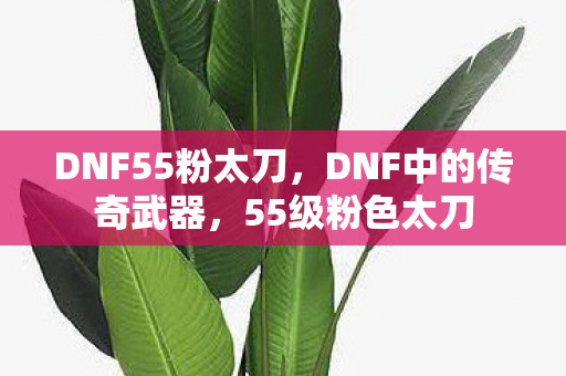 DNF55粉太刀，DNF中的传奇武器，55级粉色太刀