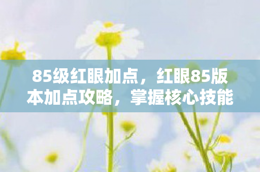 85级红眼加点，红眼85版本加点攻略，掌握核心技能，轻松提升战斗力！