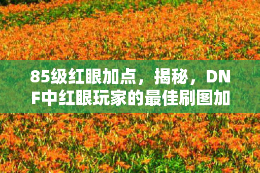 85级红眼加点，揭秘，DNF中红眼玩家的最佳刷图加点策略—85级红眼刷图加点详解