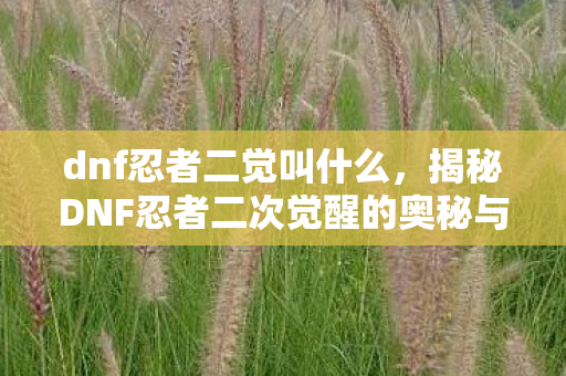 dnf忍者二觉叫什么，揭秘DNF忍者二次觉醒的奥秘与力量