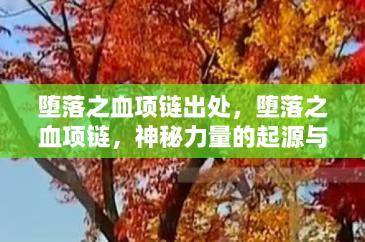 堕落之血项链出处，堕落之血项链，神秘力量的起源与背后的故事