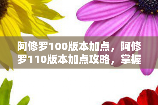 阿修罗100版本加点，阿修罗110版本加点攻略，掌握核心技能，轻松提升战斗力