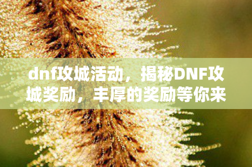 dnf攻城活动，揭秘DNF攻城奖励，丰厚的奖励等你来战！