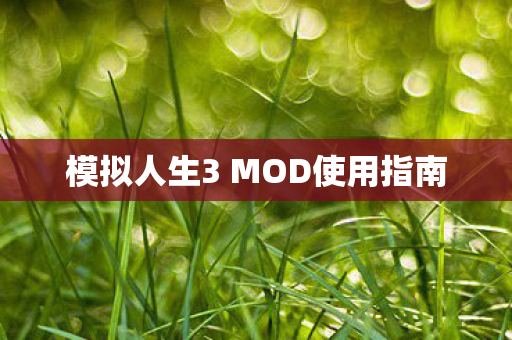 模拟人生3 MOD使用指南