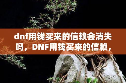 dnf用钱买来的信赖会消失吗，DNF用钱买来的信赖，游戏内交易系统与玩家社区的建立