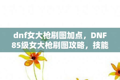 dnf女大枪刷图加点，DNF85级女大枪刷图攻略，技能加点详解