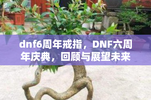 dnf6周年戒指，DNF六周年庆典，回顾与展望未来