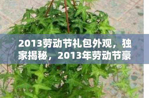 2013劳动节礼包外观，独家揭秘，2013年劳动节豪华礼包，惊喜连连看！