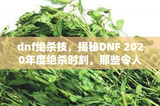 dnf绝杀技，揭秘DNF 2020年度绝杀时刻，那些令人热血沸腾的瞬间回顾