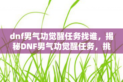 dnf男气功觉醒任务找谁，揭秘DNF男气功觉醒任务，挑战与成长之旅