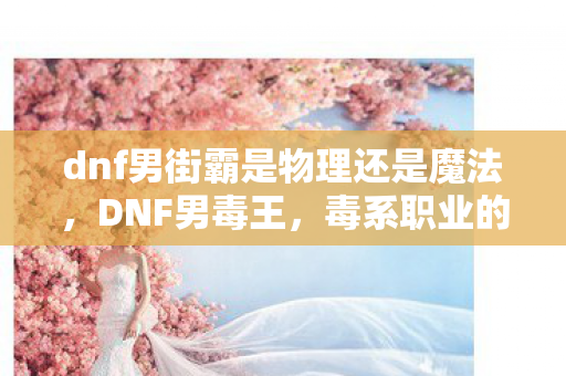 dnf男街霸是物理还是魔法，DNF男毒王，毒系职业的巅峰体验