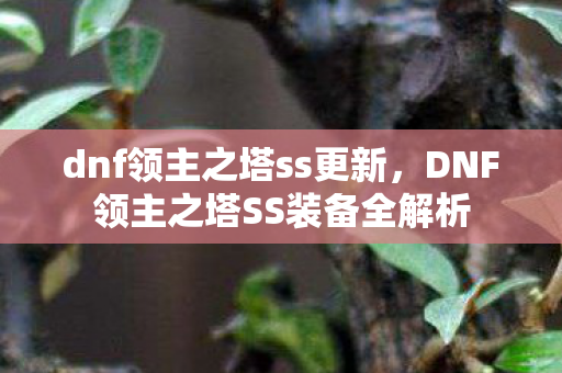dnf领主之塔ss更新，DNF领主之塔SS装备全解析