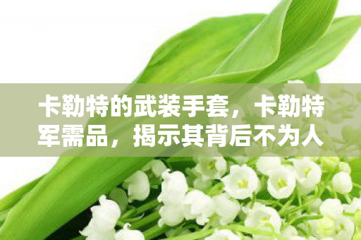 卡勒特的武装手套，卡勒特军需品，揭示其背后不为人知的秘密