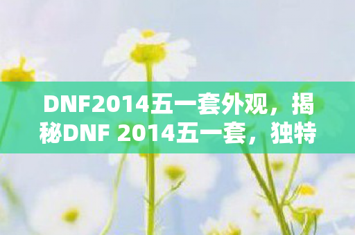 DNF2014五一套外观，揭秘DNF 2014五一套，独特魅力与隐藏价值