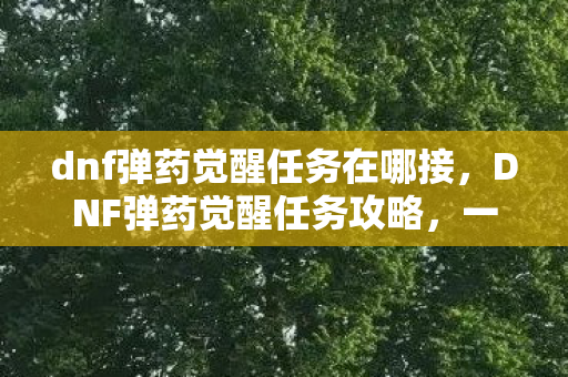 dnf弹药觉醒任务在哪接，DNF弹药觉醒任务攻略，一步步成为顶尖射击手