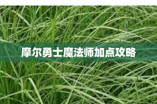 摩尔勇士魔法师加点攻略