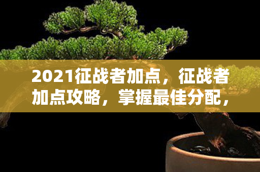 2021征战者加点，征战者加点攻略，掌握最佳分配，征战更轻松（2023版）