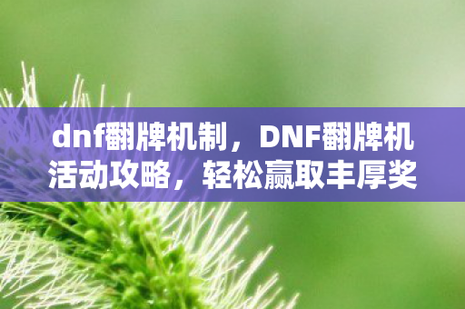dnf翻牌机制，DNF翻牌机活动攻略，轻松赢取丰厚奖励！