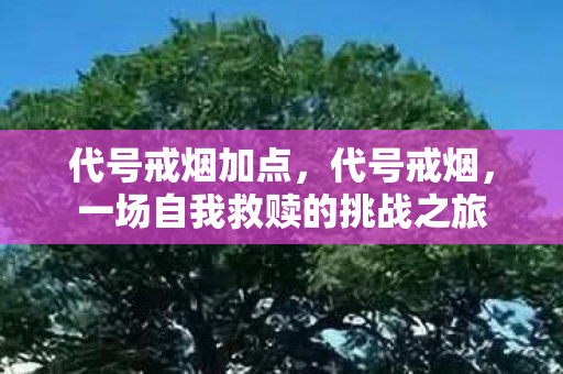 代号戒烟加点，代号戒烟，一场自我救赎的挑战之旅