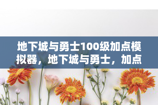 地下城与勇士100级加点模拟器，地下城与勇士，加点模拟器的新篇章