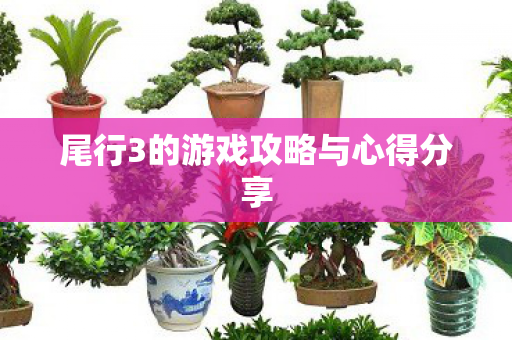 尾行3的游戏攻略与心得分享