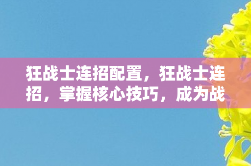 狂战士连招配置，狂战士连招，掌握核心技巧，成为战场霸主