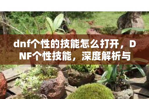 dnf个性的技能怎么打开，DNF个性技能，深度解析与实战应用指南
