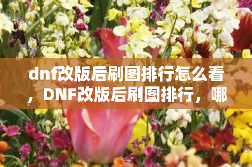 dnf改版后刷图排行怎么看，DNF改版后刷图排行，哪些职业独占鳌头？