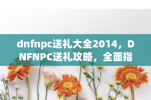 dnfnpc送礼大全2014，DNFNPC送礼攻略，全面指南与秘籍分享