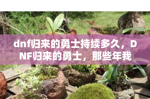 dnf归来的勇士持续多久，DNF归来的勇士，那些年我们共同守护的冒险世界