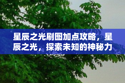 星辰之光刷图加点攻略，星辰之光，探索未知的神秘力量，高效刷图加点攻略