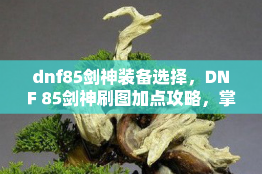 dnf85剑神装备选择，DNF 85剑神刷图加点攻略，掌握核心技能，轻松应对各类敌人！