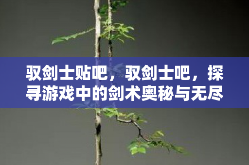 驭剑士贴吧，驭剑士吧，探寻游戏中的剑术奥秘与无尽魅力