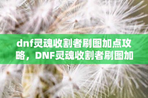 dnf灵魂收割者刷图加点攻略，DNF灵魂收割者刷图加点攻略