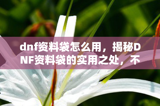 dnf资料袋怎么用，揭秘DNF资料袋的实用之处，不只是游戏的附属品